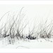 Lorraine Winters Photo 23