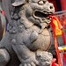 Lin Miao Photo 7