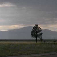 Janet Linder Photo 17