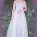 Colleen James Photo 15