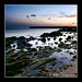 Anne Mathews Photo 14