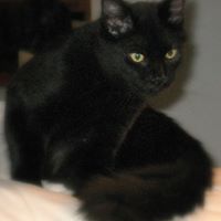 Dorothy Anglin Photo 4