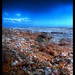 Mark Sassi Photo 10