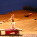 Christie Noble Photo 10