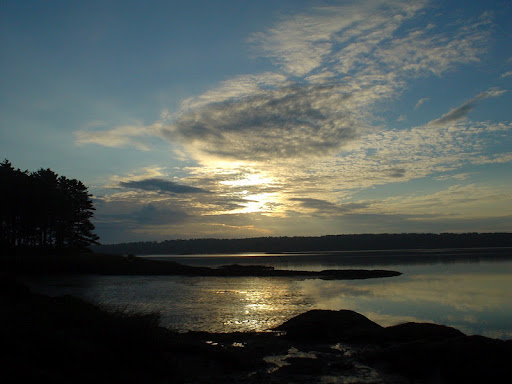 Sherry Norton Photo 8