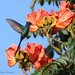 Linda Conway Photo 32