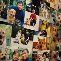 Francis Fong Photo 15
