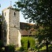 John Ewell Photo 10