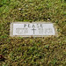 Nancy Pease Photo 20