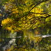 Mark Rivers Photo 25