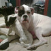 Ruby Foster Photo 34