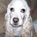 Mollie Mills Photo 33