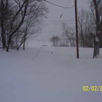 Deborah Lay Photo 7