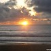 Dawn Martinez Photo 18