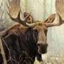 Jeremy Knopp Photo 18