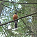 Lynn Robins Photo 12