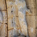 Aimee Rouleau Photo 14