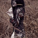 May Lin Photo 4