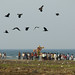 Lynn Crow Photo 21