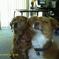 Barbara Fowler Photo 5