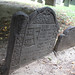 Elizabeth Graves Photo 12