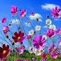 Archana Acharya Photo 18