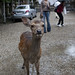 Jacob Rutt Photo 3