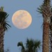 Wayne Robinson Photo 30