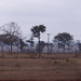 Felix Matos Photo 20