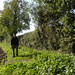 Joyce Miles Photo 36