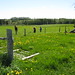 Shirley Cross Photo 15