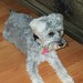 Molly Straight Photo 8
