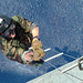 Robert Tatman Photo 7