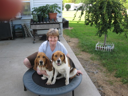Linda Cooper Photo 34