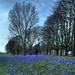 David Rosenzweig Photo 15