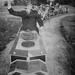 Ron Walker Photo 18