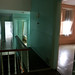 Joseph Rotman Photo 12