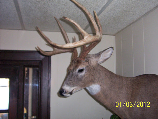 Kenneth Potter Photo 30