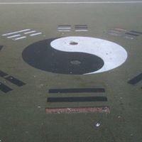 Ying Yang Photo 23