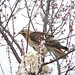 Sandra Hawks Photo 6