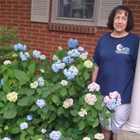 Wendy Morris Photo 6