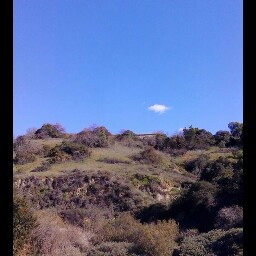 John Early Photo 8