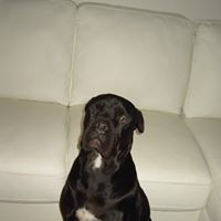 Ruby Simpson Photo 7