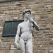 David Palaia Photo 5