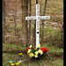 Nancy Waller Photo 19