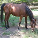 Sandra Slaughter Photo 38