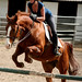 Leah Sorrell Photo 19