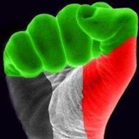 Sayed Sadat Photo 13