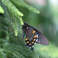 Christine Colvin Photo 25