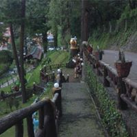 Michael Calva Photo 8